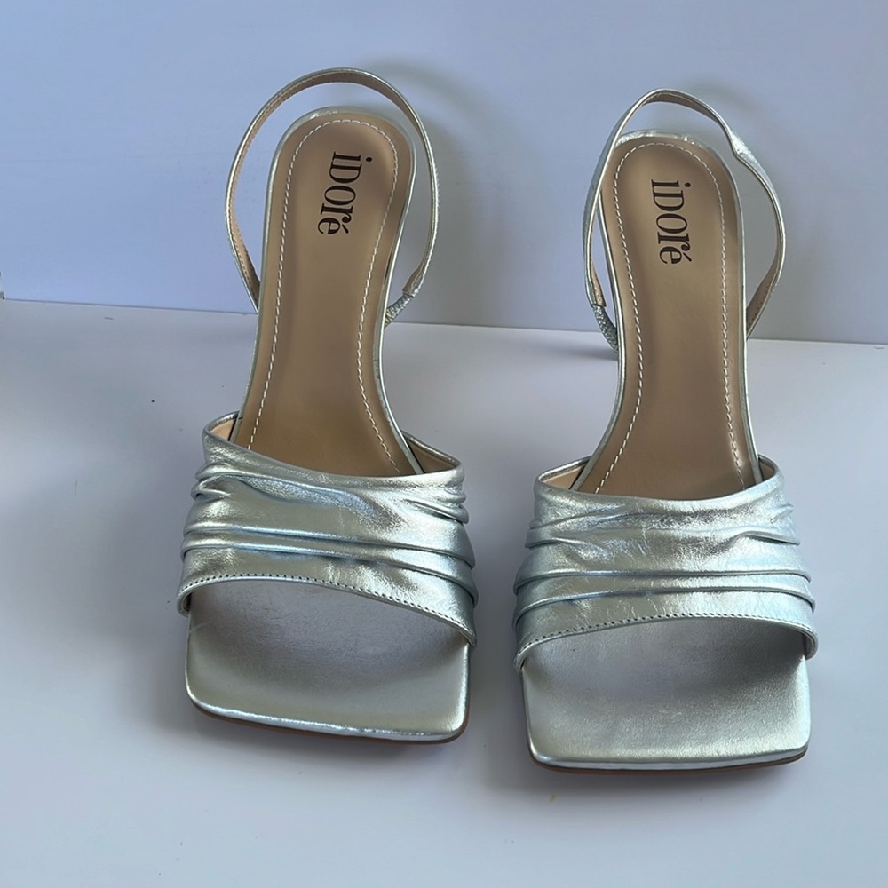 Beautiful Silver Shoes